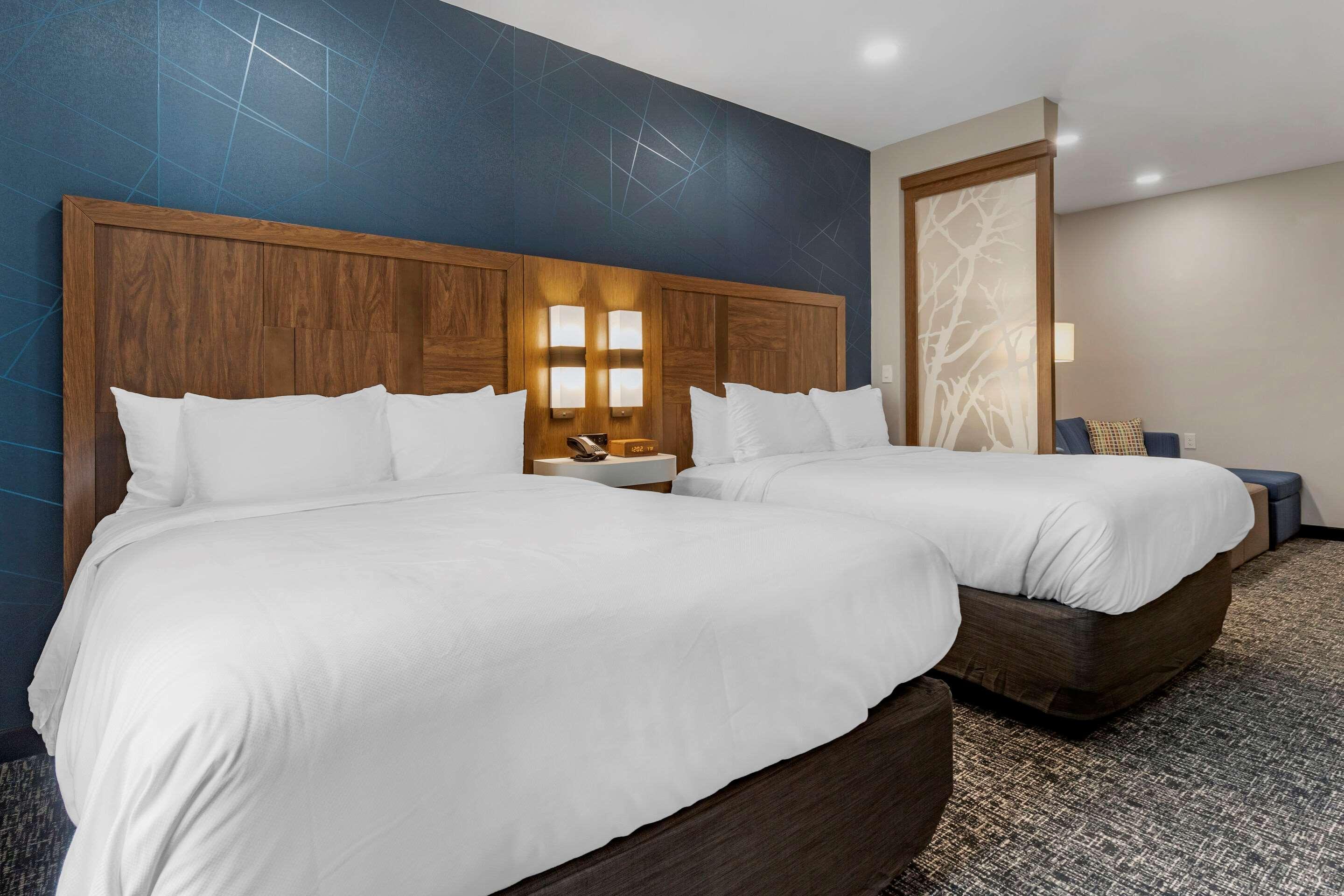 Comfort Suites Greenville Airport Dış mekan fotoğraf